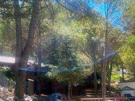 View of campsite