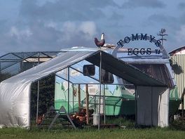 Chicken hut