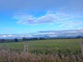 Beautiful view