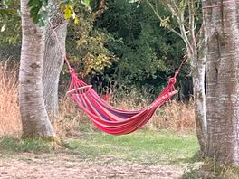 Hammock