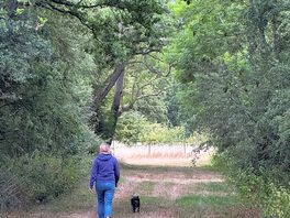 A walk along the old railway line.