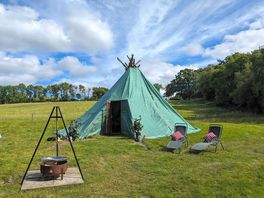 Tipi