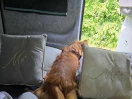 Sleepy time