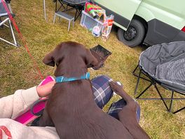 Camping