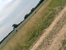 Playing in the field