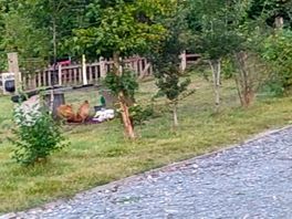 At the campsite.