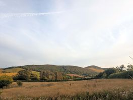 View from meadow