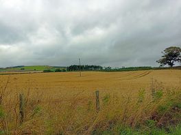 View on the way to edzell.