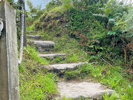 Local walks