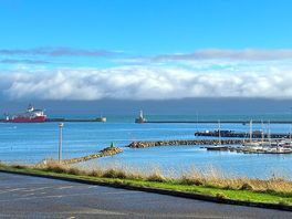 Views across the marina