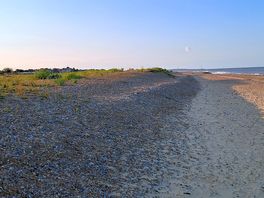 The beach