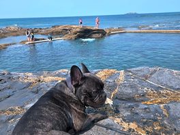Chilling