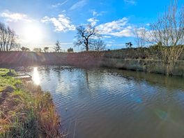 Snake lake
