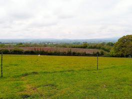 Gorgeous views!