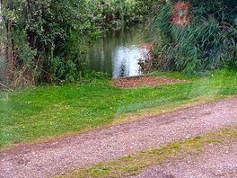 Looking at the lake from our caravan.