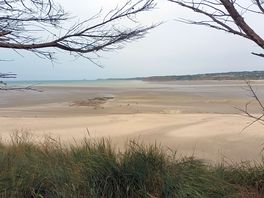 Strand bei ebbe
