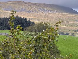 View from philpin farm campsite
