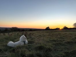 Beautiful sunset