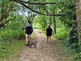 Lovely walks