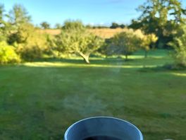 Morning view