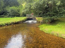 Rivière « la vologne »