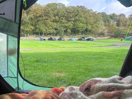 Morning view