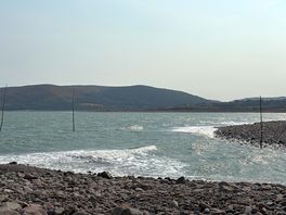 Local beach