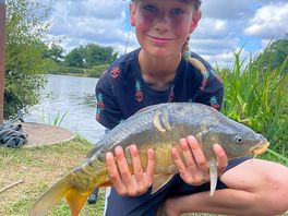 Another stunning carp