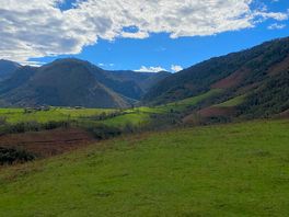 Tharta loop