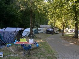 Pitches among the trees