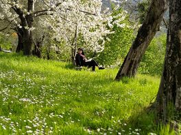 Belvedere area sosta camper