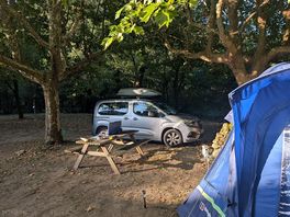 Lovely shaded pitch near the river