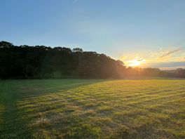 The field between the main site and the woods