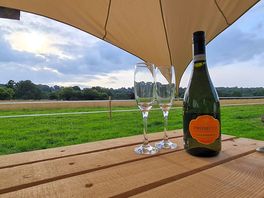 Welcoming prosecco