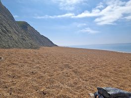 Hive beach