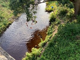 View from top of the bridge