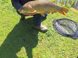 Good catch 👍