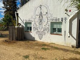 Global tribe