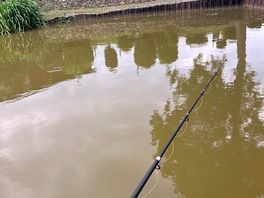 Spot of fishing