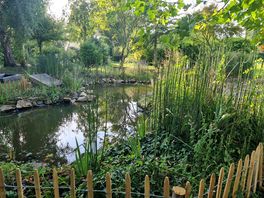 Little pond