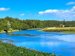 River tweed