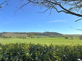 View from our tent