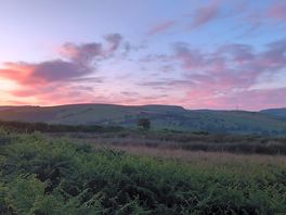 Evening view