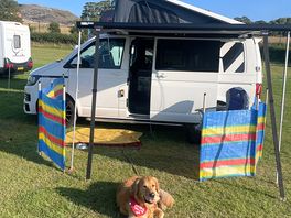 Base camp, with my ferocious guard dog ha!