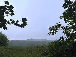 Lovely views