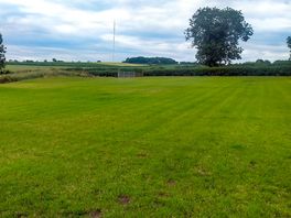 Mown grass