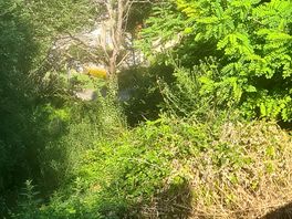 Very local walk