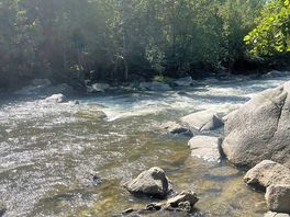 Lovely river