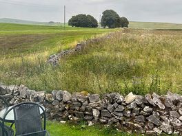 Countryside