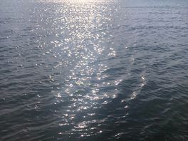 Mare